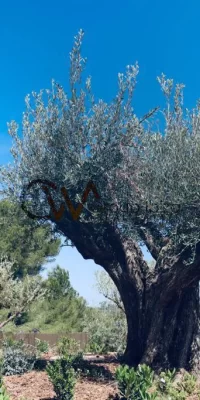 Nueva villa en la exclusiva comunidad de Roca Llisa
