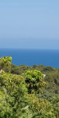 Nieuw huis gelegen in Cap Martinet met verhuurlicentie