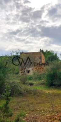 Grond van 72.000m² te koop in San Agustin