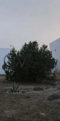 Casa única en Estany des Peix, Formentera