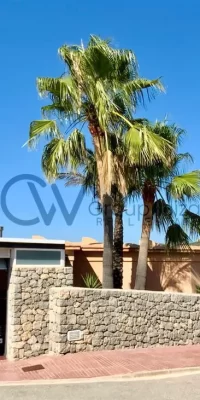 Elegante Mansión en la Exclusiva Comunidad de Roca Llisa
