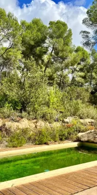 Encantadora Finca de Seis Habitaciones en Cala Jondal con Potencial de Renovación