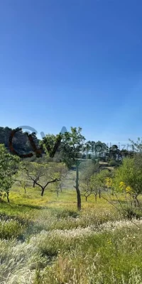Unieke kans om een ​​rustiek juweeltje in San Rafael, Ibiza te restaureren