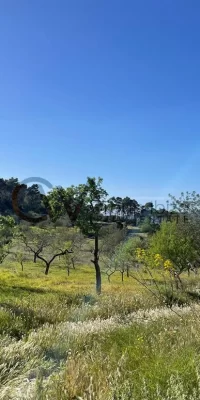 Unieke kans om een ​​rustiek juweeltje in San Rafael, Ibiza te restaureren