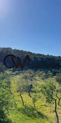 Unieke kans om een ​​rustiek juweeltje in San Rafael, Ibiza te restaureren