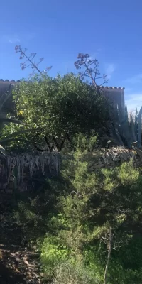 Traditioneel huis in Formentera-stijl te koop in Es Cap