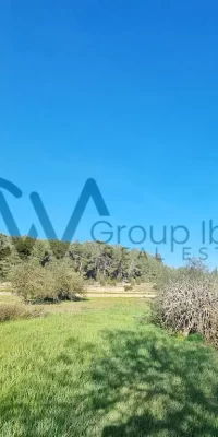 Twee stukken grond in Santa Gertrudis om te bouwen