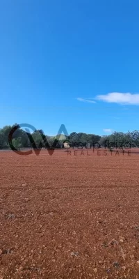 Twee stukken grond in Santa Gertrudis om te bouwen