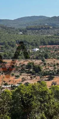 Encantadora Finca en la Naturaleza Virgen de San Mateo